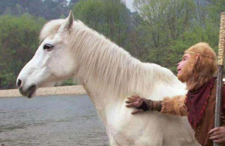 《2022：哮天神犬勇闯龙宫》