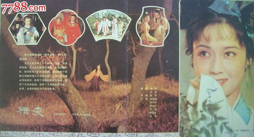 经典系列电影100部大合辑：收藏品鉴、体验文化之旅