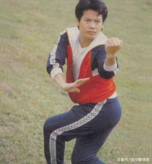 经典古装动作片《南拳王》：肖龙、范东尼、林海南领衔主演，以10万两白银为代价，抵抗太平天国入侵！4K.高码，11.8GB，极具真功夫迷的最爱！