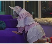 《妹子喵喵小女仆康纳的猥琐故事：宅男们的梦想，小龙女们的渴望》