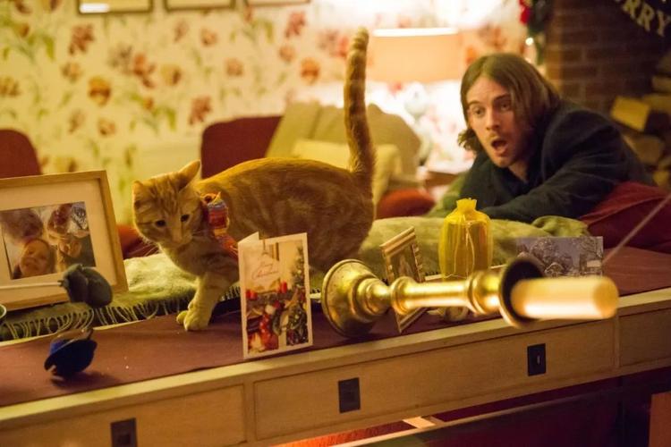 《天翼网盘：波西米亚狂想曲·幸福终点站·当幸福来敲门》