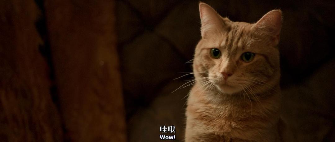 《天翼网盘：波西米亚狂想曲·幸福终点站·当幸福来敲门》