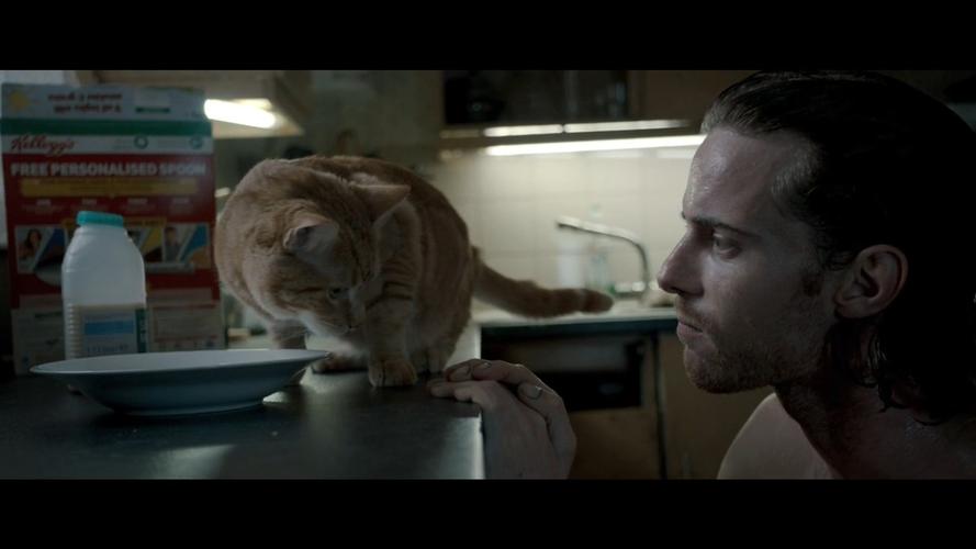 《天翼网盘：波西米亚狂想曲·幸福终点站·当幸福来敲门》