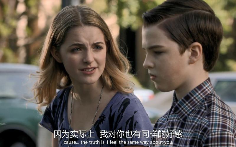 小谢尔顿第四季中字1080p：多格式支持、阿里云盘下载、视觉效果出色