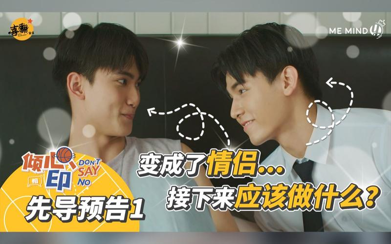 完美资源：4K电影、电视剧、动画片、游戏、武术培育、烹饪厨艺、聊天艺术