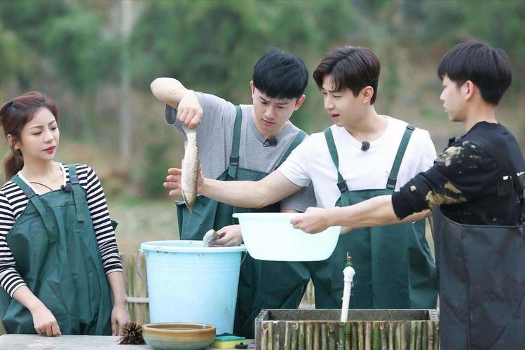 免费下载！明星的慢生活综艺：向往的生活1-5季全集，阿里云MP4格式，清晰度极高！