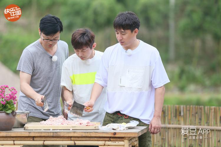 免费下载！明星的慢生活综艺：向往的生活1-5季全集，阿里云MP4格式，清晰度极高！