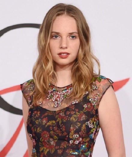 《狄金森：从小姑娘到诗人的成长历程》