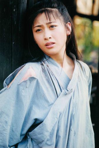 《明朝末年：吴京少林武王》