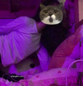 疯狂暴抠：双女畸形恋攻守激吻假物件打粑粑吃瓜自拍2.1G3V百度盘