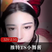 小舞酱COS团建视频系列32V2.5G：粉丝互动短视频集锦