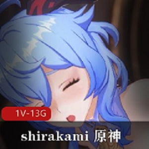 4K高清原神与崩坏三作品合集整合60FPS精彩内容1V13G[24分20秒]