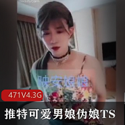 推特可爱男娘伪娘TS精品视频合集471V4.3G，短小精悍不露脸