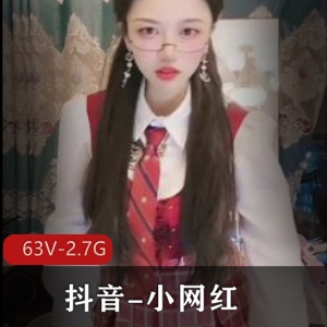 优质抖音绝版网红感觉精华63V2.7G稀罕