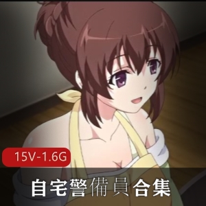 里番自宅警備员合集14+16部1.6G，剧情给力，慎拍！