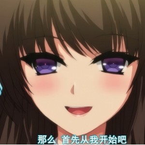 百度盘雷火剑里番大合集中字视频合集72部100G，包含全高清资源