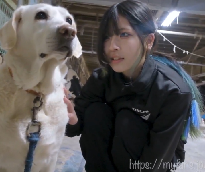 ネムイ77.78G原档74部myfans露脸资源合集资源宝贵