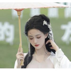 绝美周姐去衣古风合集32部40MB推特