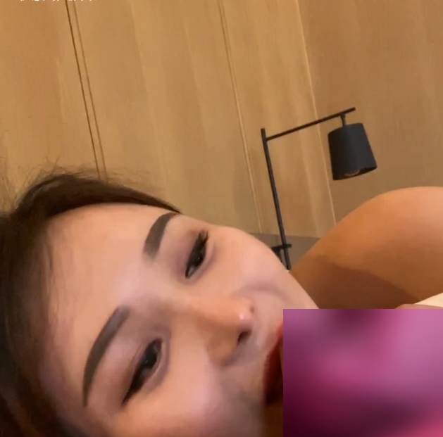 推特总华探长的小狗酒店实录1V0.6G超会玩