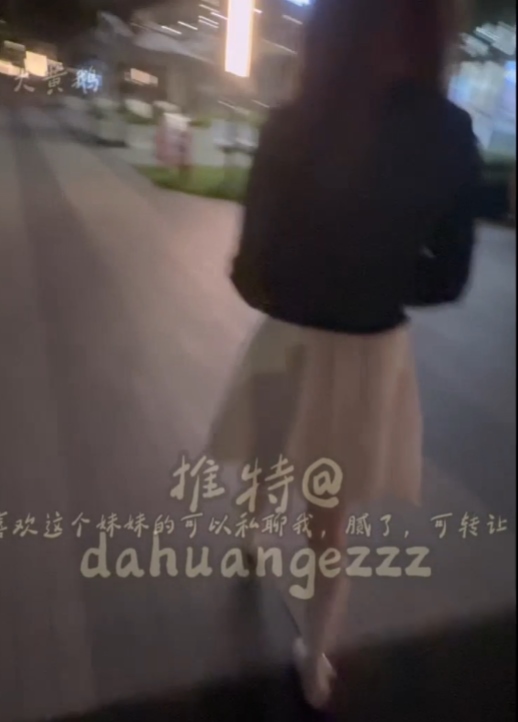 **艺考大黄鹅绝密合集15V10.3G**